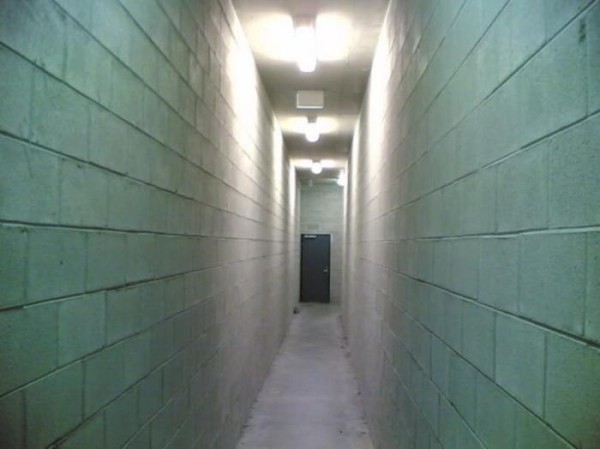 10 фактов о страхах и фобиях