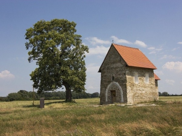 15 деревья в Европе с  интереснейшей историей