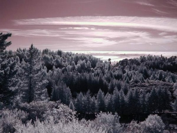 Инфракрасная фотография (12 фото) Инфракрасная фотография (12 фото)