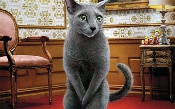 9 Вещей, о которых вы не знали, что они радиоактивны