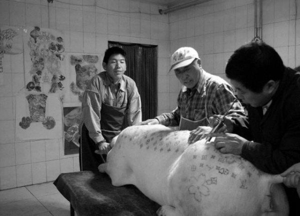 Мастер нанесения татуировок на свиней (10 фото) Мастер нанесения татуировок на свиней (10 фото)