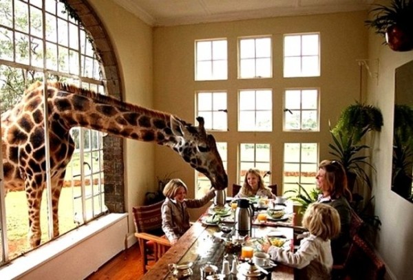 Необычные гостиницы мира Необычные гостиницы мира