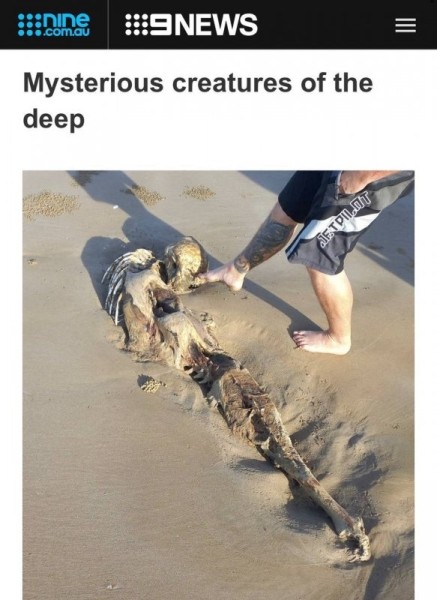 В Австралии на пляже нашли «скелет русалки» В Австралии на пляже нашли «скелет русалки»