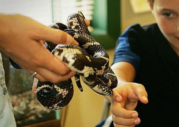 10 фактов о страхах и фобиях