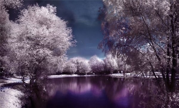 Инфракрасная фотография (12 фото) Инфракрасная фотография (12 фото)