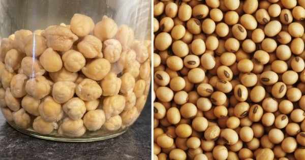 14 коварных пар продуктов, которые настолько похожи, что так и норовят нас запутать 14 коварных пар продуктов, которые настолько похожи, что так и норовят нас запутать