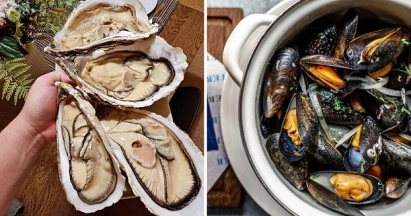 14 коварных пар продуктов, которые настолько похожи, что так и норовят нас запутать 14 коварных пар продуктов, которые настолько похожи, что так и норовят нас запутать