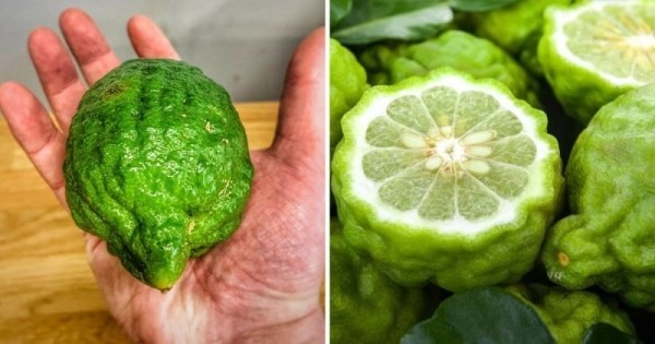 14 коварных пар продуктов, которые настолько похожи, что так и норовят нас запутать 14 коварных пар продуктов, которые настолько похожи, что так и норовят нас запутать