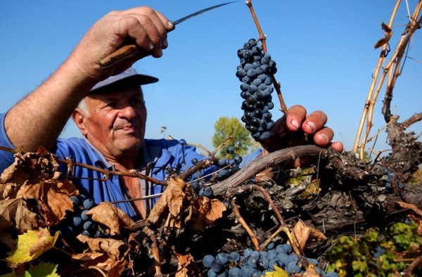 Собираетесь в Болгарию? Вот чего нельзя делать в этой стране! Собираетесь в Болгарию? Вот чего нельзя делать в этой стране!