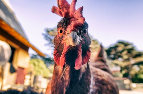 Собираетесь в Болгарию? Вот чего нельзя делать в этой стране! Собираетесь в Болгарию? Вот чего нельзя делать в этой стране!