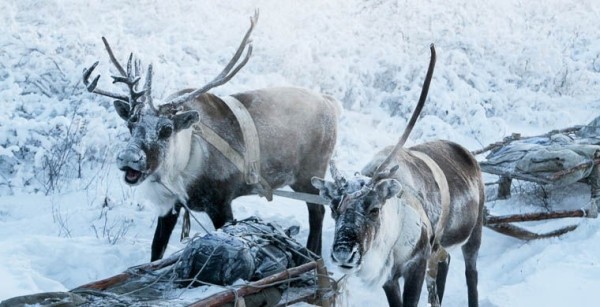 То, да не то: самые известные фейковые достопримечательности То, да не то: самые известные фейковые достопримечательности