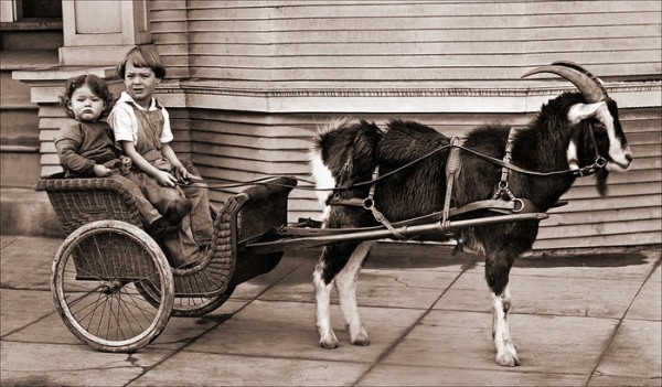Вранье, покупка холодильника и еще 11 вещей, запрещенных в Австралии Вранье, покупка холодильника и еще 11 вещей, запрещенных в Австралии
