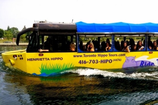 Необычный транспорт мира (10 фото) Необычный транспорт мира (10 фото)