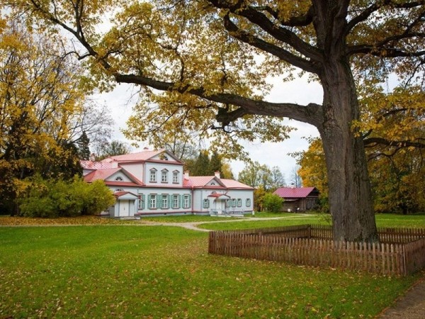 15 деревья в Европе с  интереснейшей историей