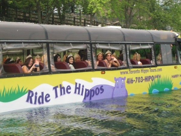 Необычный транспорт мира (10 фото) Необычный транспорт мира (10 фото)