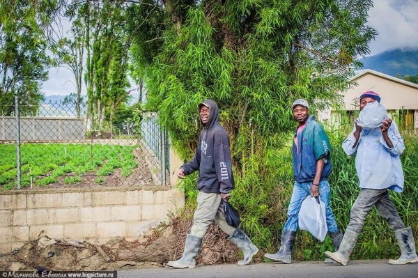 75 фактов про Доминиканскую Республику 75 фактов про Доминиканскую Республику