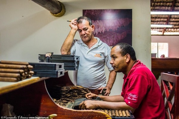 75 фактов про Доминиканскую Республику 75 фактов про Доминиканскую Республику