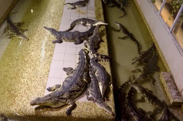 5 самых популярных мифов и страшилок о метро разных стран и их реальное происхождение