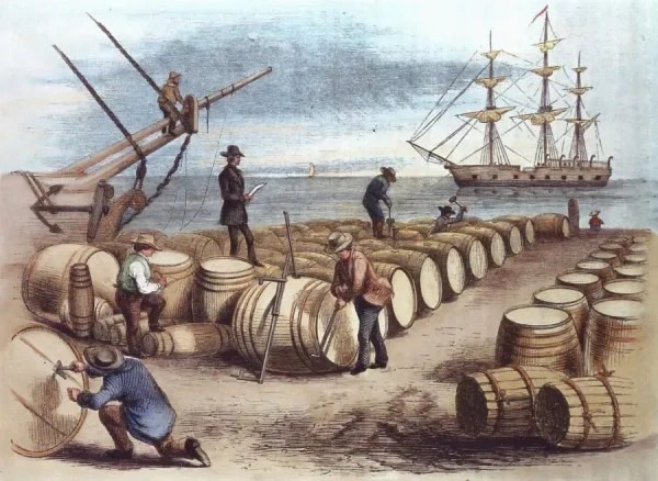 Дороже золота: почему на парусниках ром ценился меньше, чем глоток тухлой воды Дороже золота: почему на парусниках ром ценился меньше, чем глоток тухлой воды