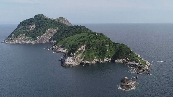 Кеймада-Гранди: бразильский остров, где на каждый квадратный метр приходится по ядовитой змее Кеймада-Гранди: бразильский остров, где на каждый квадратный метр приходится по ядовитой змее