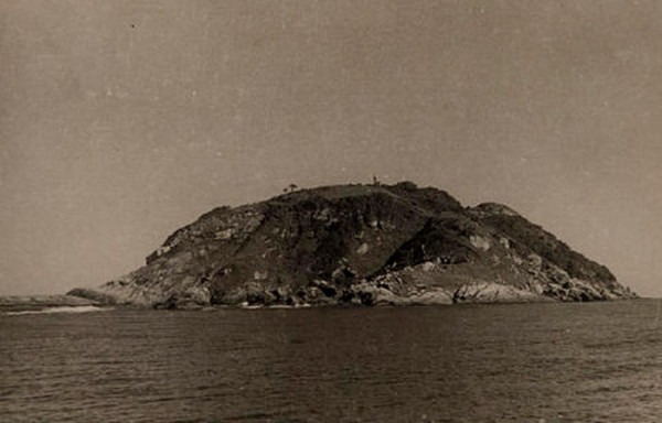 Кеймада-Гранди: бразильский остров, где на каждый квадратный метр приходится по ядовитой змее Кеймада-Гранди: бразильский остров, где на каждый квадратный метр приходится по ядовитой змее