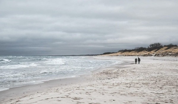 Зимние национальные парки России: где снег лежит нетронутым, а лоси выходят к дорогам