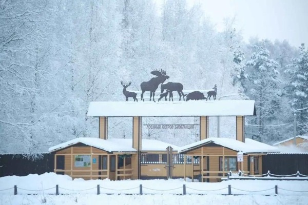 Зимние национальные парки России: где снег лежит нетронутым, а лоси выходят к дорогам