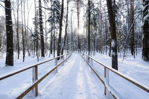 Зимние национальные парки России: где снег лежит нетронутым, а лоси выходят к дорогам