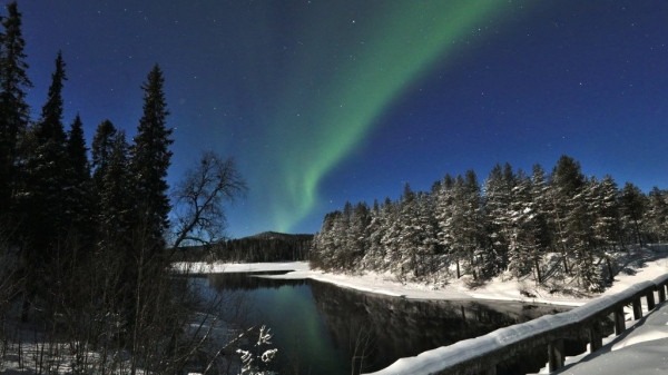Зимние национальные парки России: где снег лежит нетронутым, а лоси выходят к дорогам
