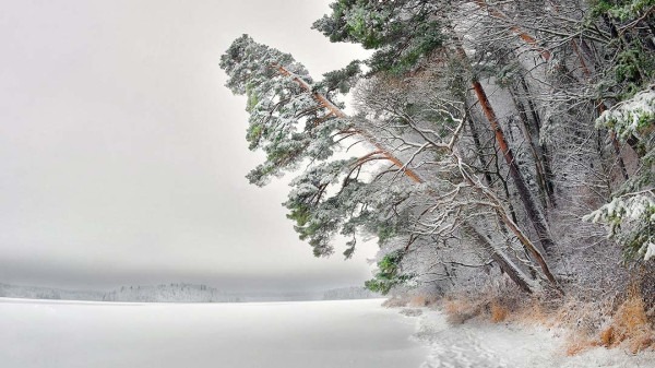 Зимние национальные парки России: где снег лежит нетронутым, а лоси выходят к дорогам