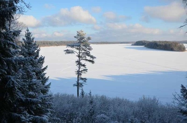 Зимние национальные парки России: где снег лежит нетронутым, а лоси выходят к дорогам