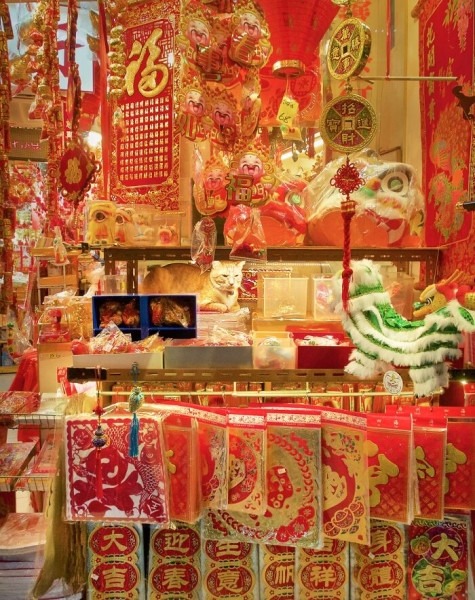 От Гонконга до Стамбула: 45 кошек, которые давно захватили эти города От Гонконга до Стамбула: 45 кошек, которые давно захватили эти города