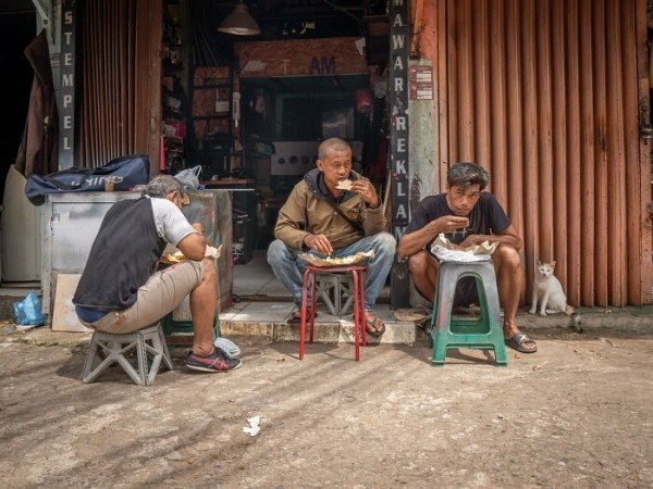 От Гонконга до Стамбула: 45 кошек, которые давно захватили эти города От Гонконга до Стамбула: 45 кошек, которые давно захватили эти города