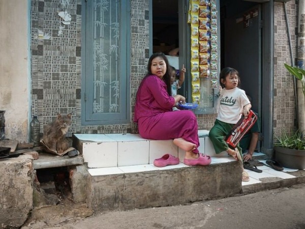 От Гонконга до Стамбула: 45 кошек, которые давно захватили эти города От Гонконга до Стамбула: 45 кошек, которые давно захватили эти города