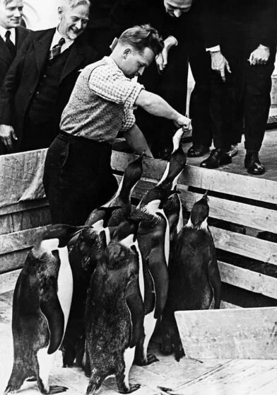 Загадка Новой Швабии: зачем нацисты отправили экспедицию в далекую Антарктиду Загадка Новой Швабии: зачем нацисты отправили экспедицию в далекую Антарктиду