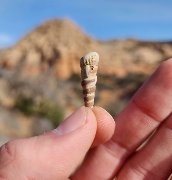 Пустыня помнит всё: 56 находок, которые она хранила годами, веками и миллионами лет