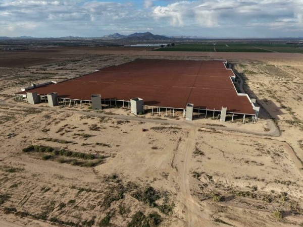 Пустыня помнит всё: 56 находок, которые она хранила годами, веками и миллионами лет