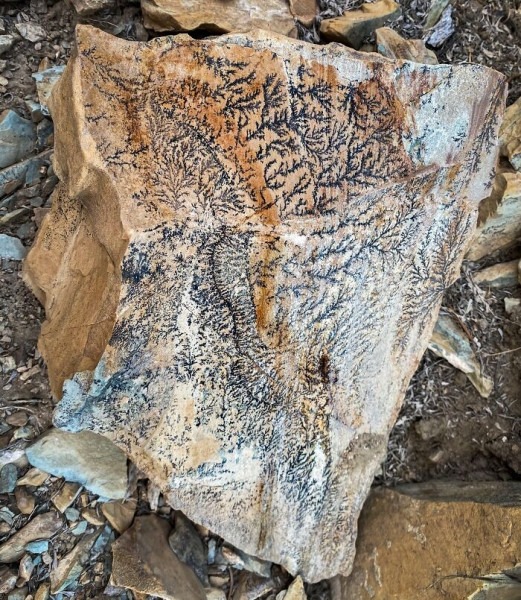 Пустыня помнит всё: 56 находок, которые она хранила годами, веками и миллионами лет