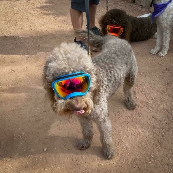 Пустыня помнит всё: 56 находок, которые она хранила годами, веками и миллионами лет