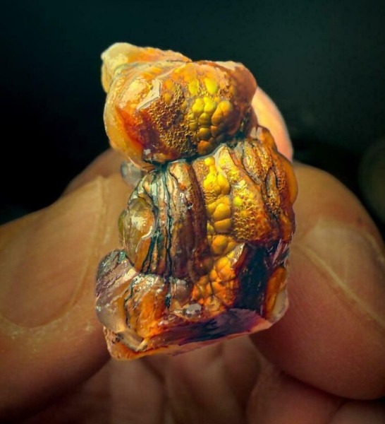 Пустыня помнит всё: 56 находок, которые она хранила годами, веками и миллионами лет