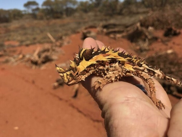 Пустыня помнит всё: 56 находок, которые она хранила годами, веками и миллионами лет