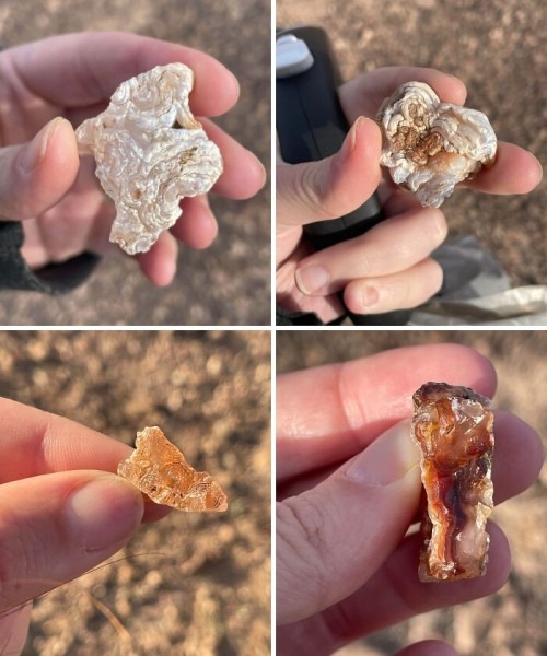 Пустыня помнит всё: 56 находок, которые она хранила годами, веками и миллионами лет