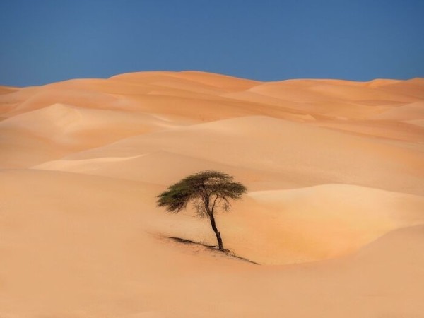 Пустыня помнит всё: 56 находок, которые она хранила годами, веками и миллионами лет