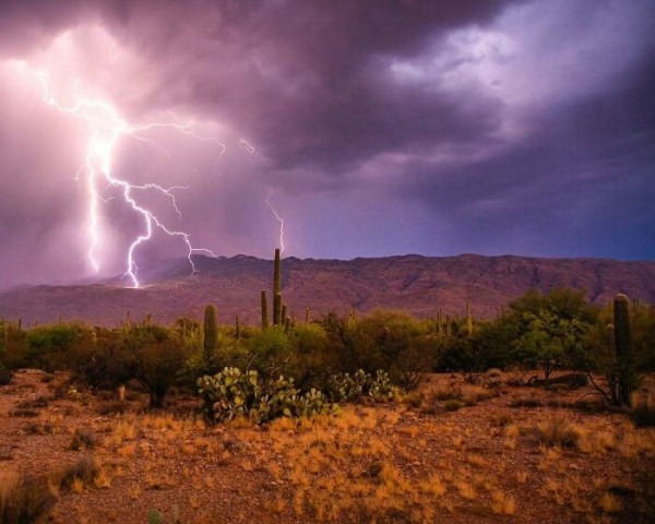 Пустыня помнит всё: 56 находок, которые она хранила годами, веками и миллионами лет