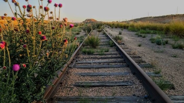 Пустыня помнит всё: 56 находок, которые она хранила годами, веками и миллионами лет