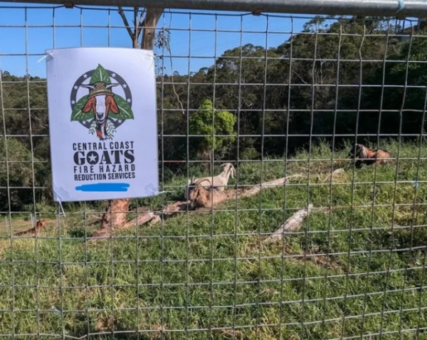 Уникальные мелочи жизни из разных уголков мира