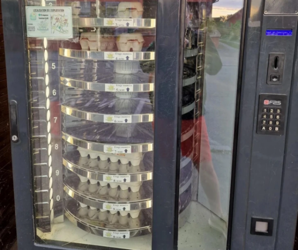 Уникальные мелочи жизни из разных уголков мира