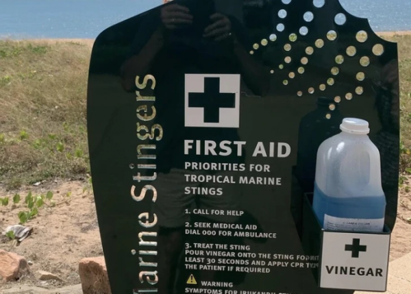 Уникальные мелочи жизни из разных уголков мира