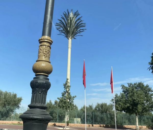 Уникальные мелочи жизни из разных уголков мира